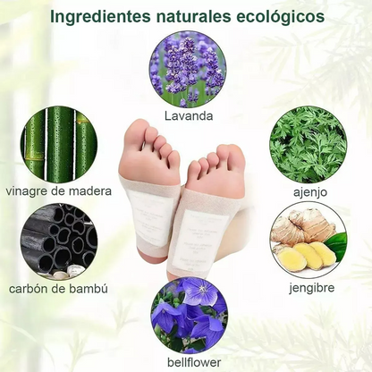 Parches kinoki (3 CAJAS)